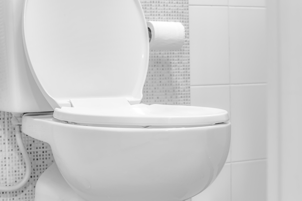 toilet-repair-black-diamond-wa